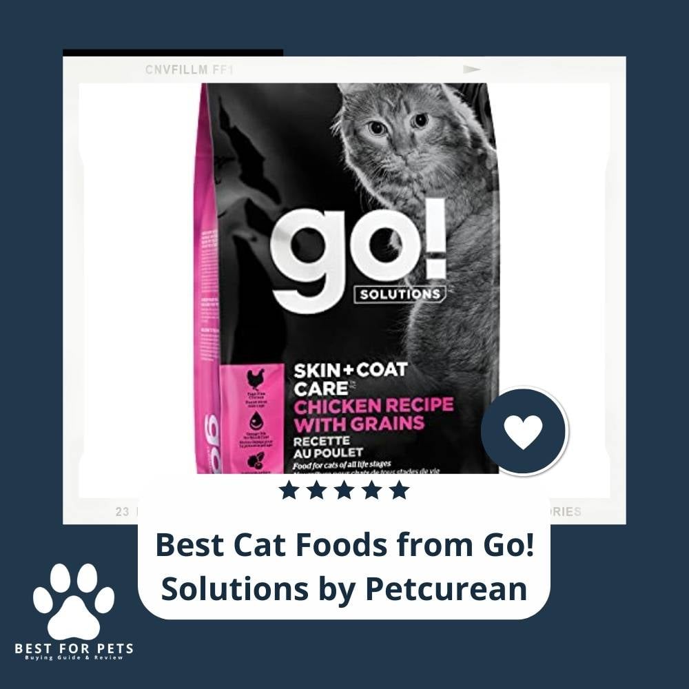16BtEkp5s-best-cat-foods-from-go-solutions-by-petcurean