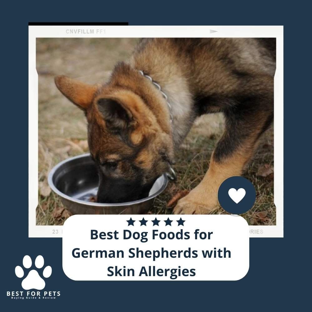 cKV0IcgeN-best-dog-foods-for-german-shepherds-with-skin-allergies