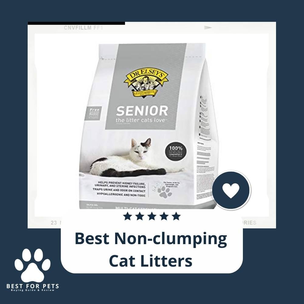NrymSkh1P-best-non-clumping-cat-litters