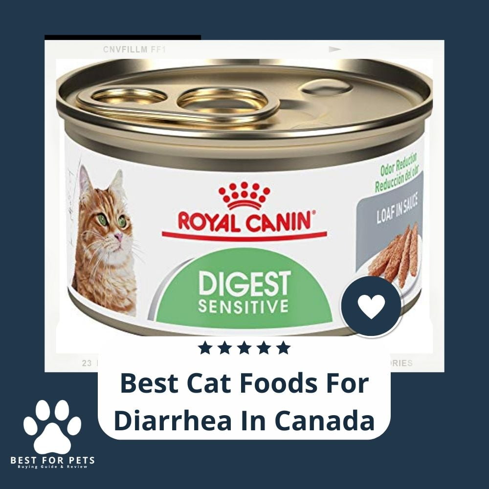 2T2Dg51k7-best-cat-foods-for-diarrhea-in-canada