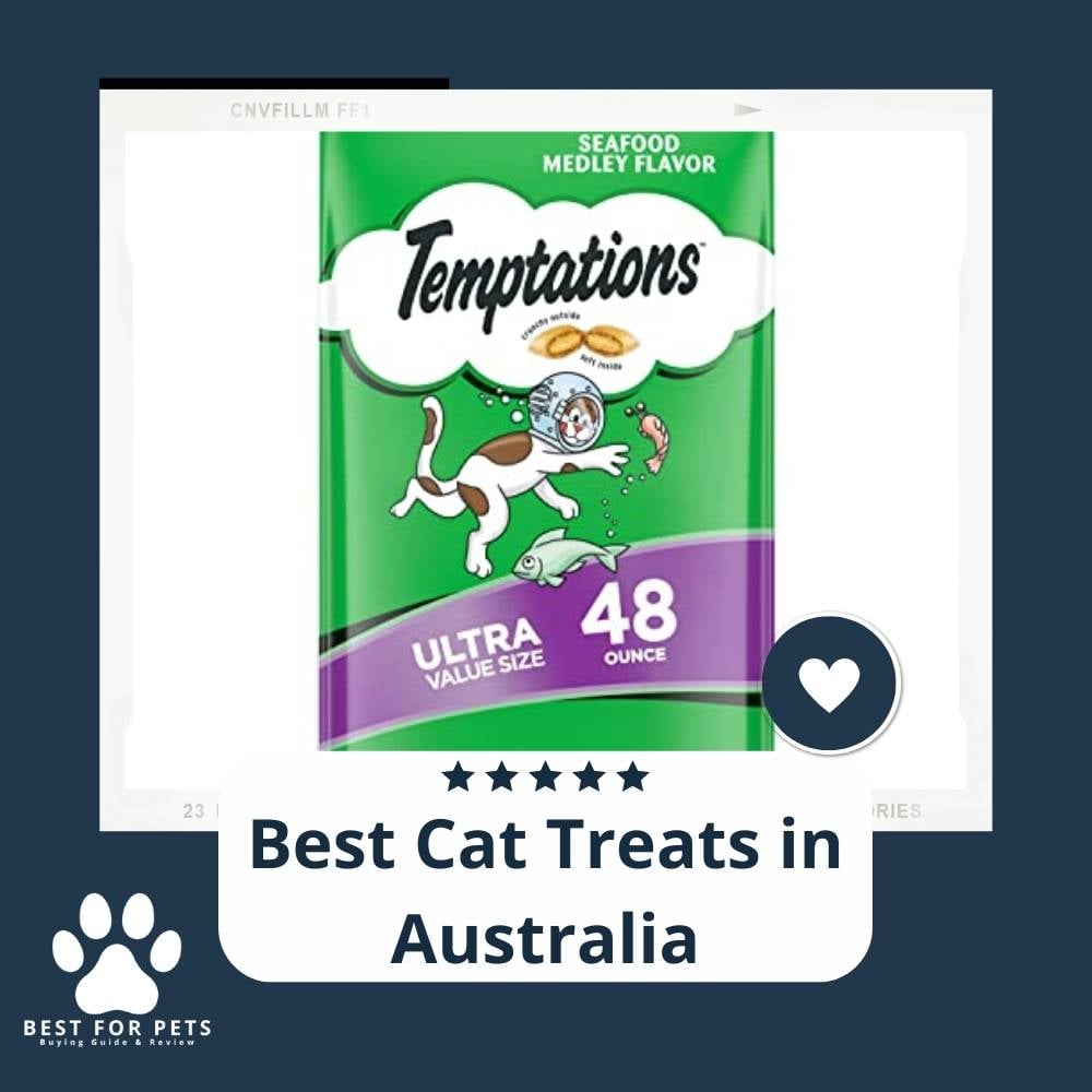 pPjKjHwk-best-cat-treats-in-australia