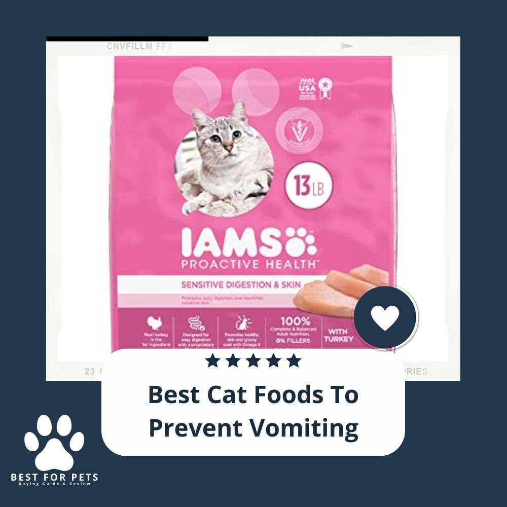 wu15pBi7T-best-cat-foods-to-prevent-vomiting
