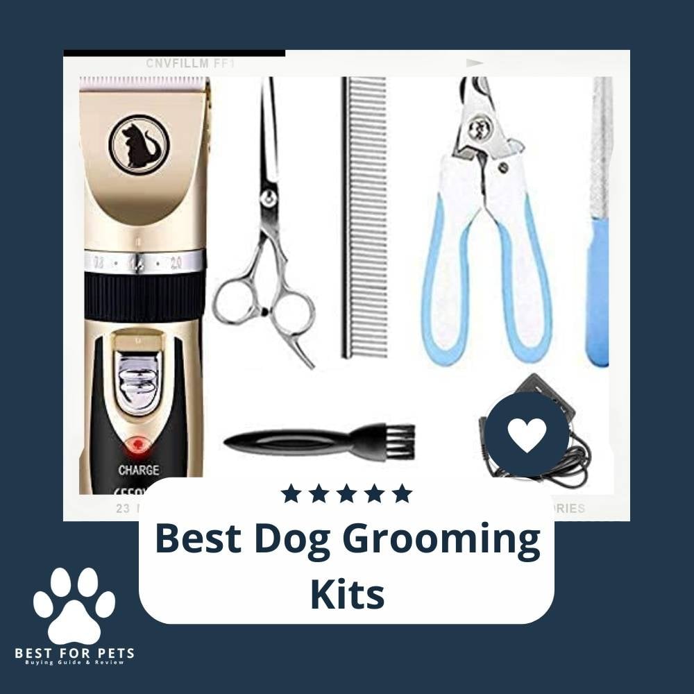 NDDVCe-xC-best-dog-grooming-kits