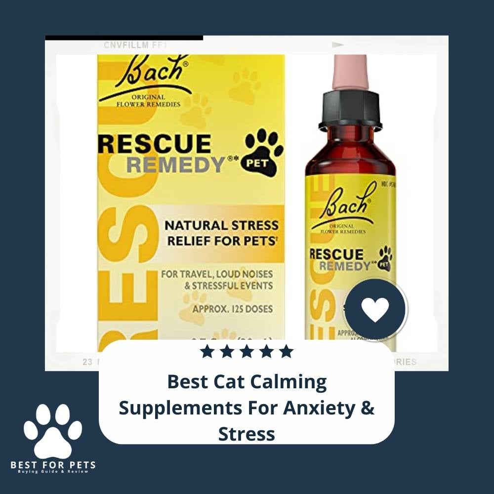 W375J9NSl-best-cat-calming-supplements-for-anxiety-and-stress