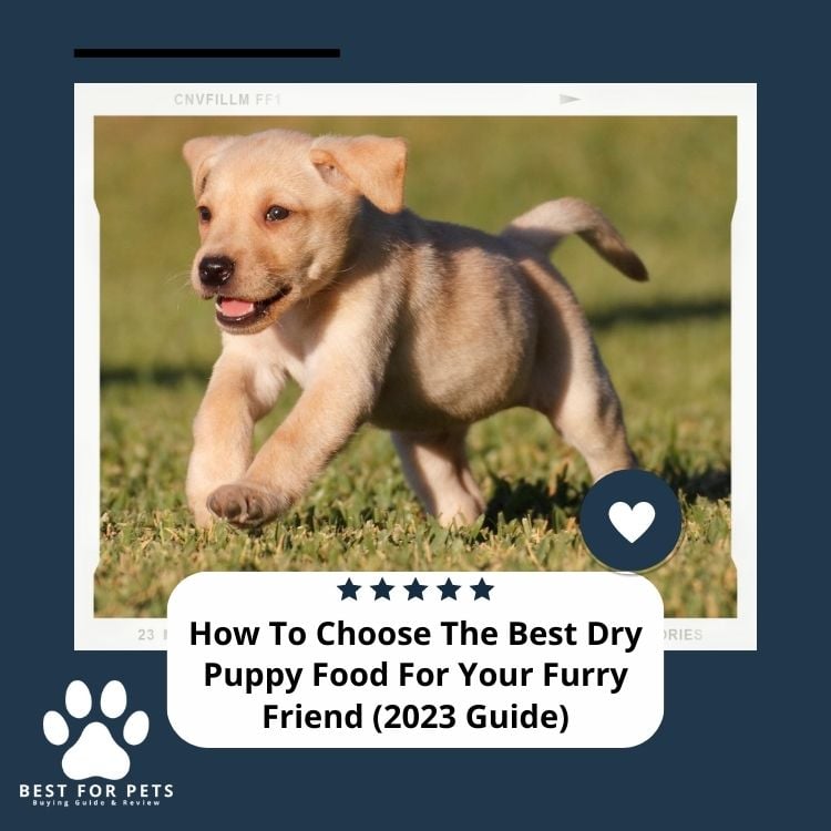 How To Choose The Best Dry Puppy Food For Your Furry Friend (2023 Guide)