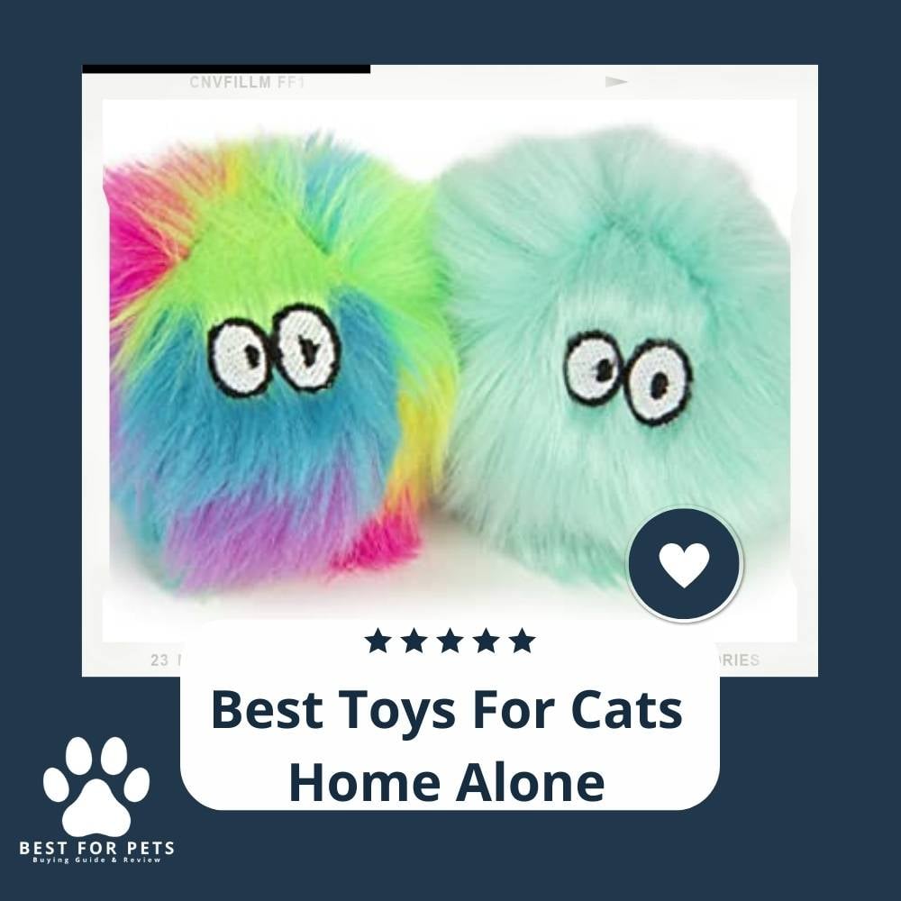 4q0whs9CL-best-toys-for-cats-home-alone