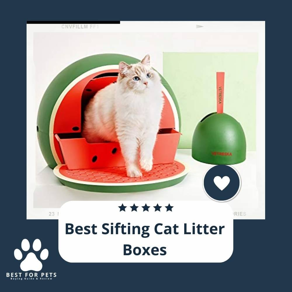 aZ_D57qGl-best-sifting-cat-litter-boxes