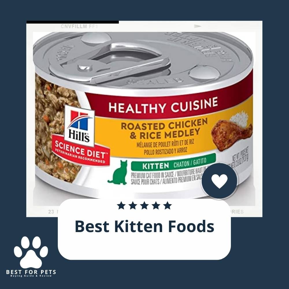 9vF-UffmP-best-kitten-foods