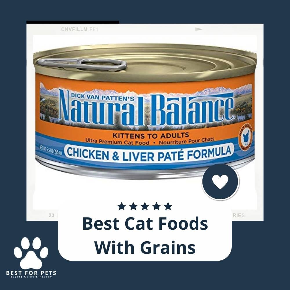 OnYYbA9B_-best-cat-foods-with-grains