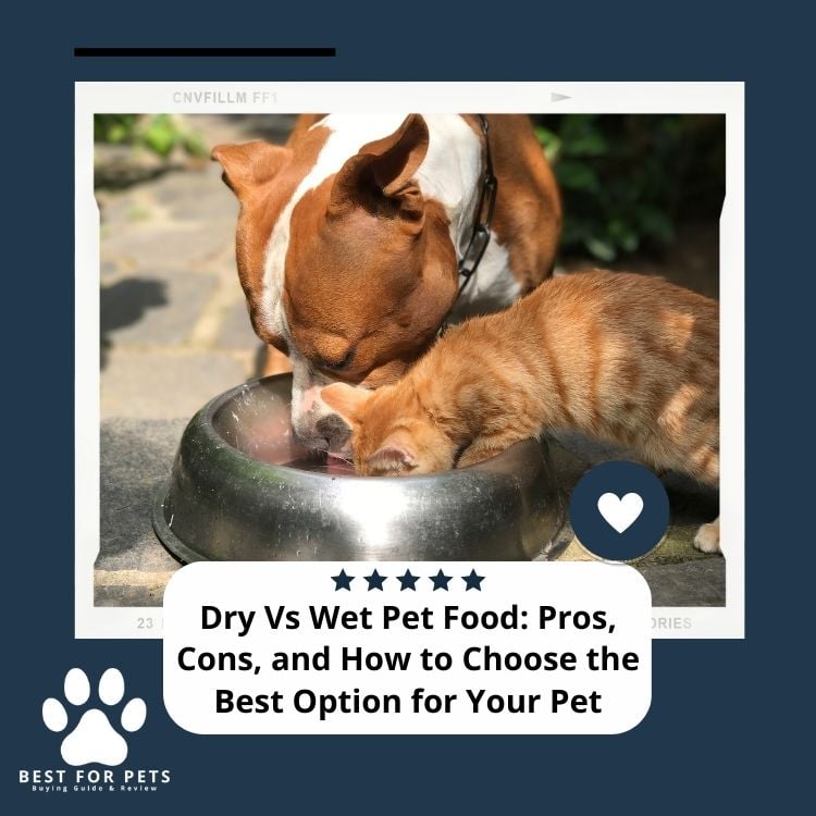 Dry Vs Wet Pet Food Pros Cons and How to Choose the Best Option for Your Pet