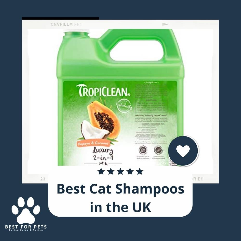 qVDZqI9db-best-cat-shampoos-in-the-uk