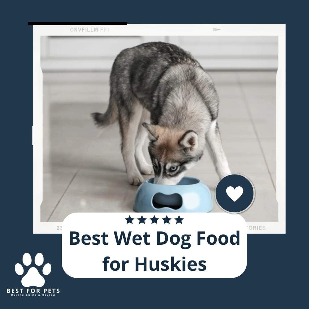 ufj-5ggs3-best-wet-dog-food-for-huskies