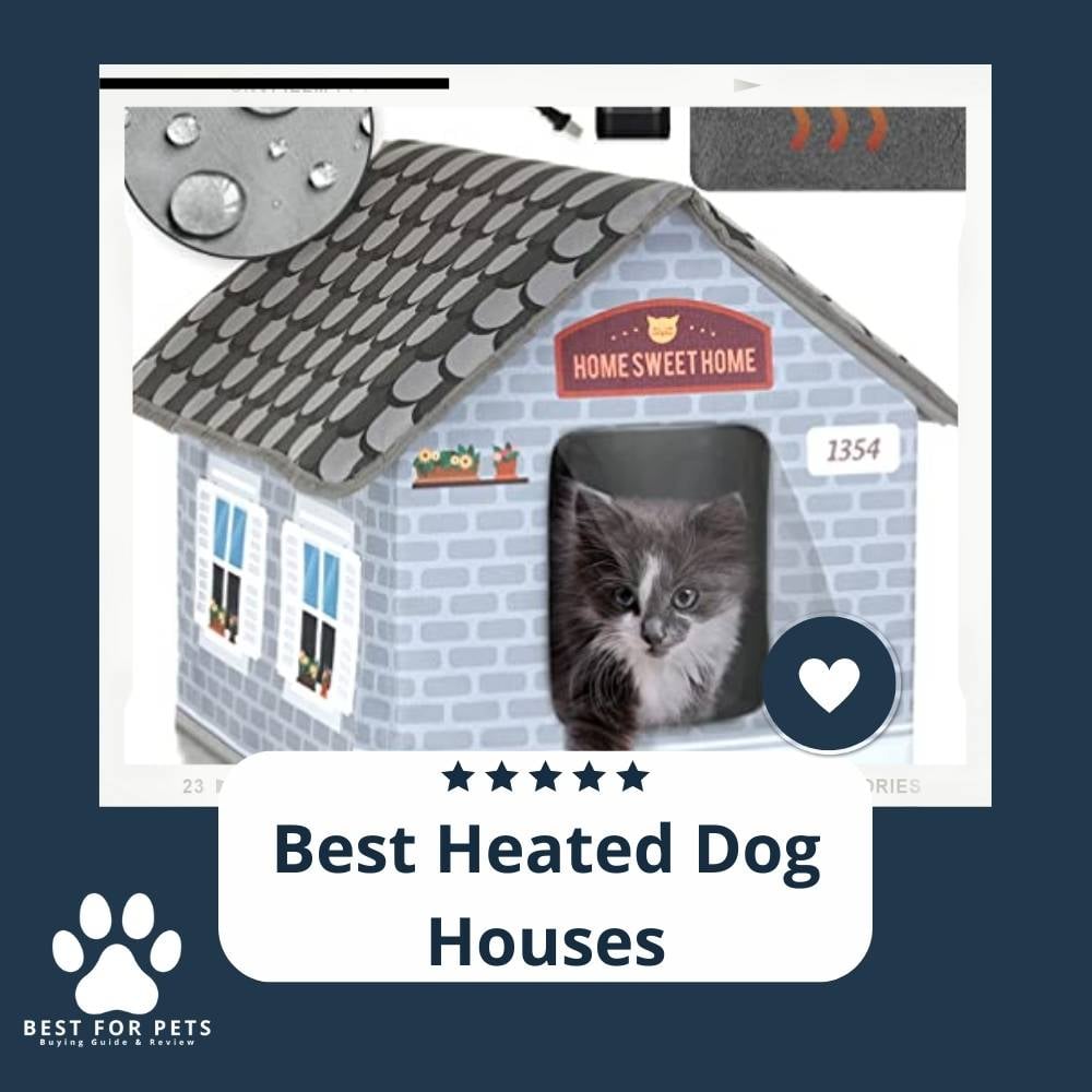 4UYTBsJbK-best-heated-dog-houses
