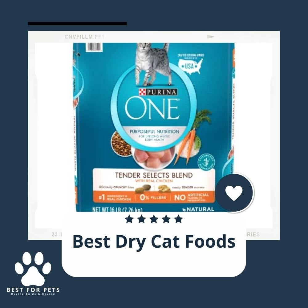 m6pglFOOv-best-dry-cat-foods