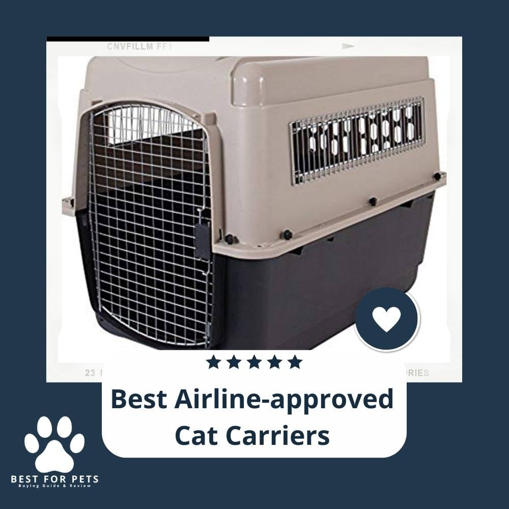 Q7OblH3El-best-airline-approved-cat-carriers