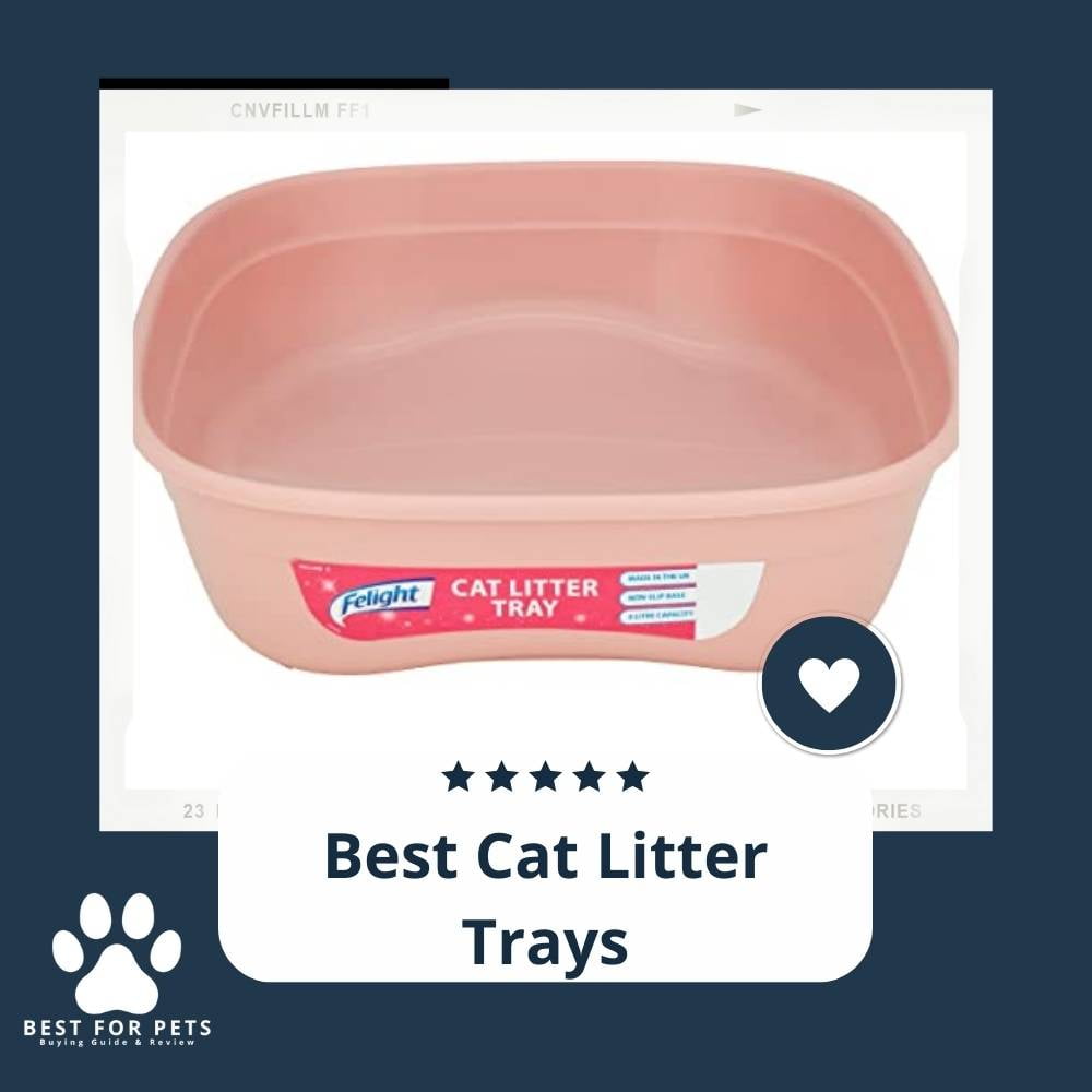 SVtz9CDBn-best-cat-litter-trays