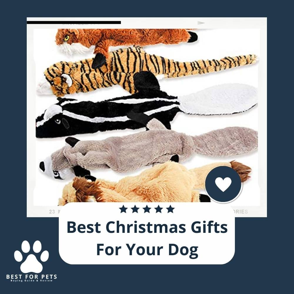 NSg4HB_IC-best-christmas-gifts-for-your-dog