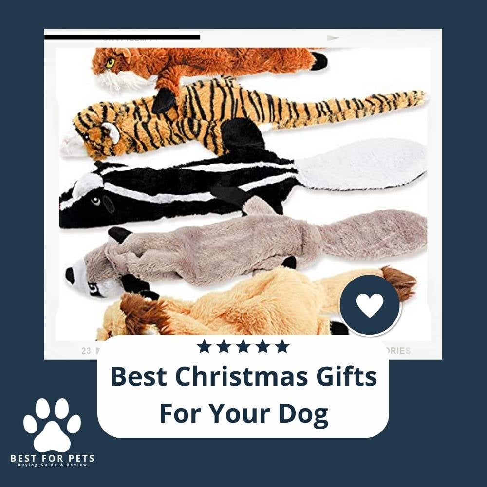 The 10 Best Christmas Gifts For Your Dog