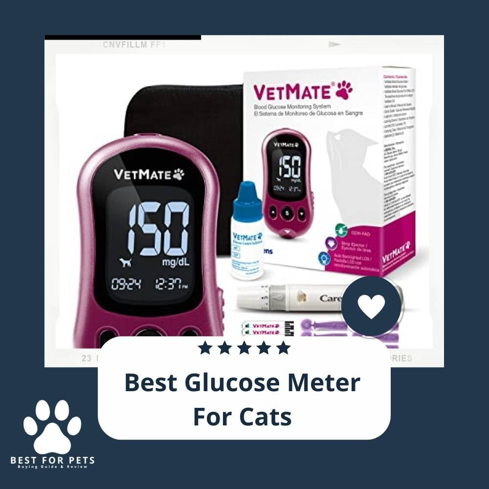 cvWLUj8el-best-glucose-meter-for-cats
