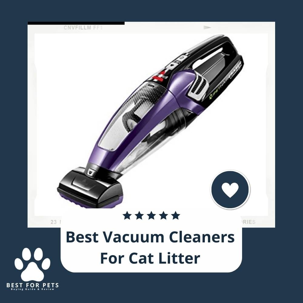 IlORyJ801-best-vacuum-cleaners-for-cat-litter