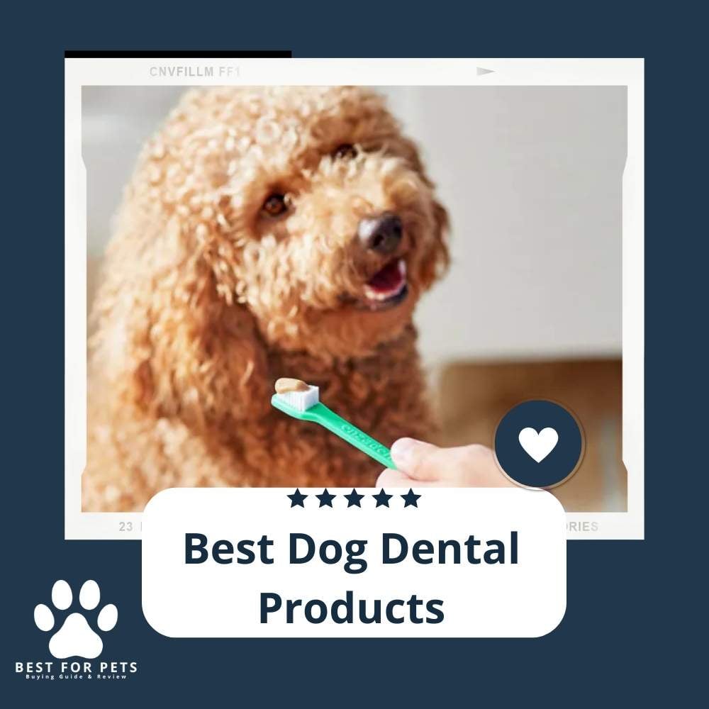 KVyL8E-kU-best-dog-dental-products