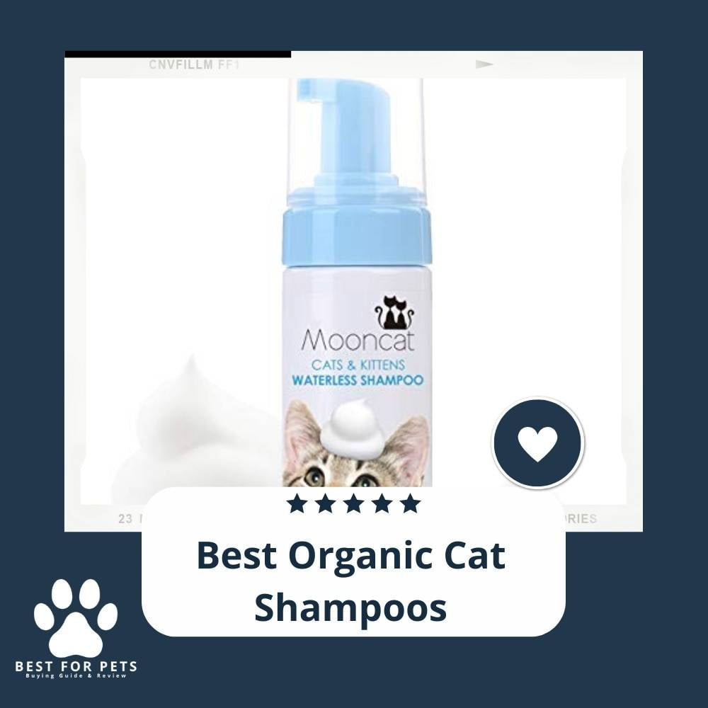 Oe4xN0A9p-best-organic-cat-shampoos