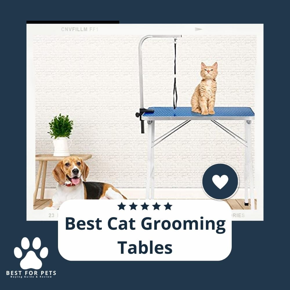 Ohj57sjRW-best-cat-grooming-tables