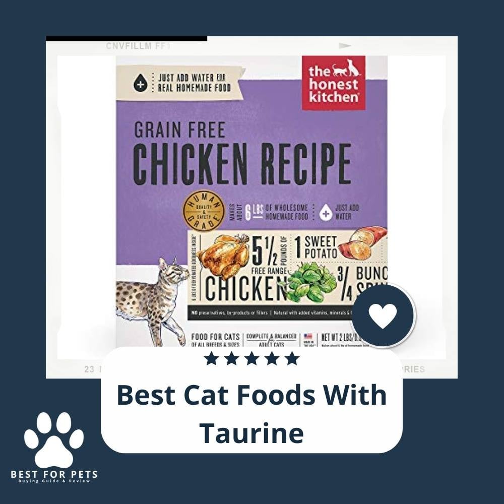 cekLl7fBQ-best-cat-foods-with-taurine