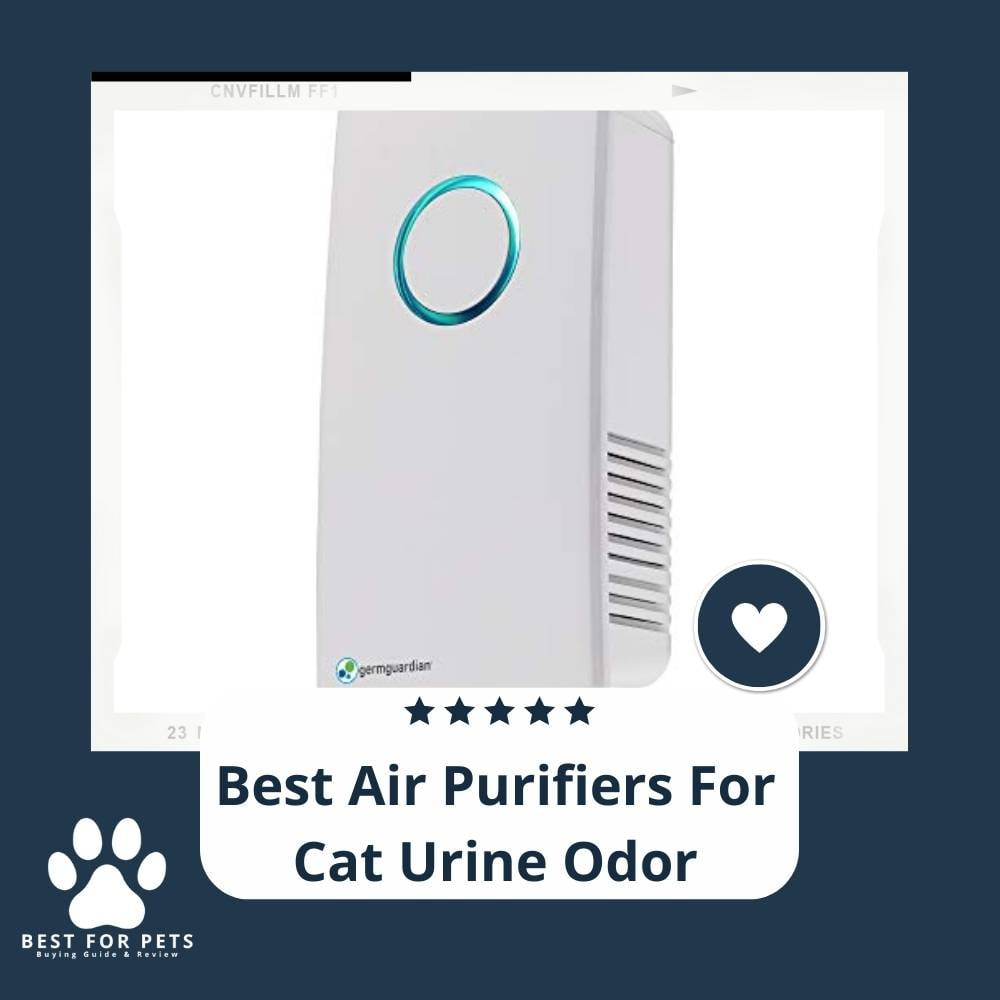 ZjnLoRpFm-best-air-purifiers-for-cat-urine-odor