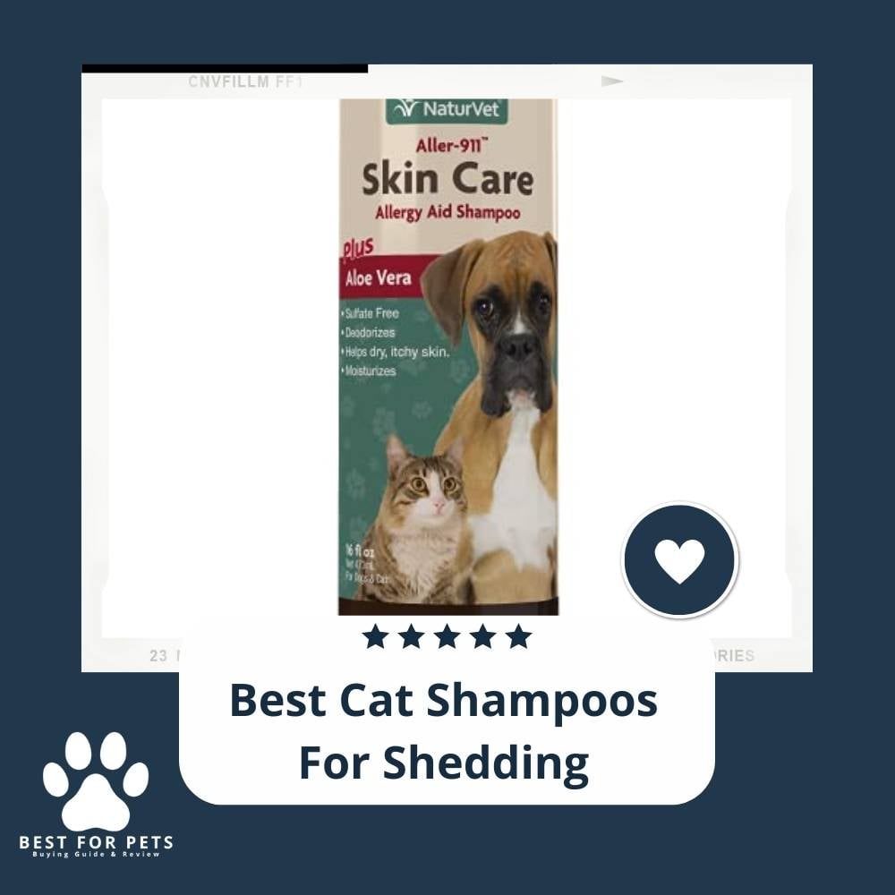 RuBUDnD1u-best-cat-shampoos-for-shedding