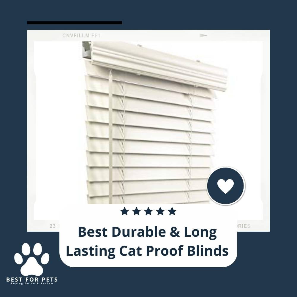 W4rOwtoRB-best-durable-and-long-lasting-cat-proof-blinds