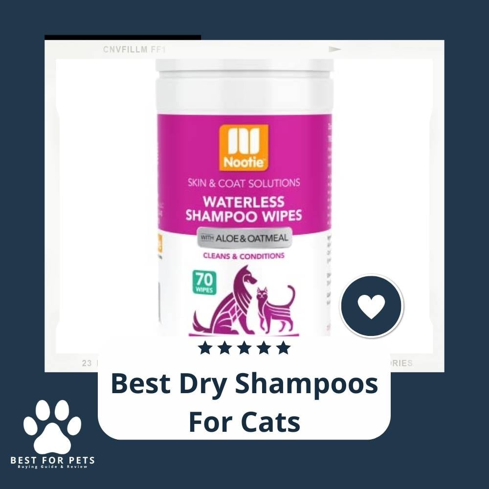zt-mq9RPv-best-dry-shampoos-for-cats