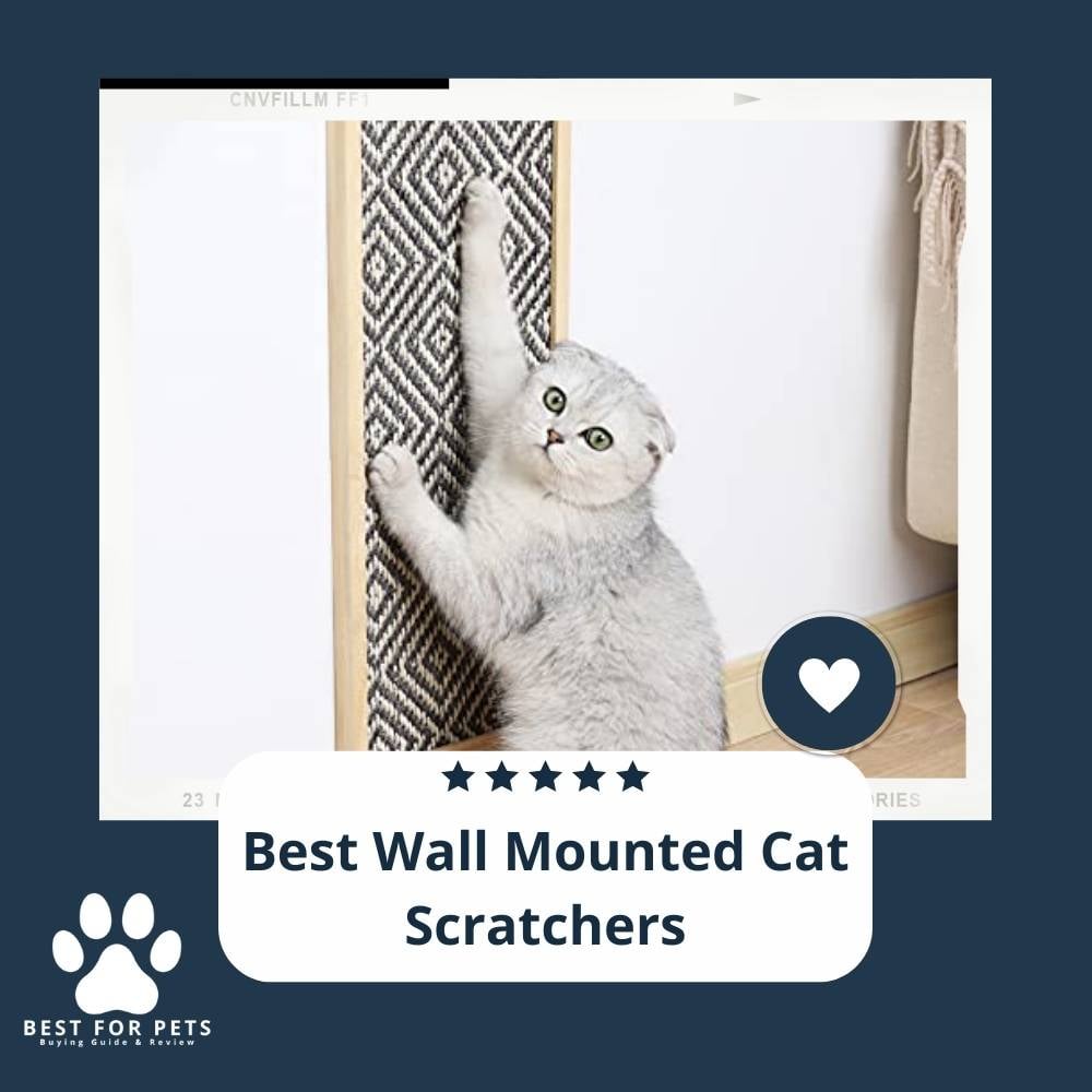 88f1mcy3p-best-wall-mounted-cat-scratchers