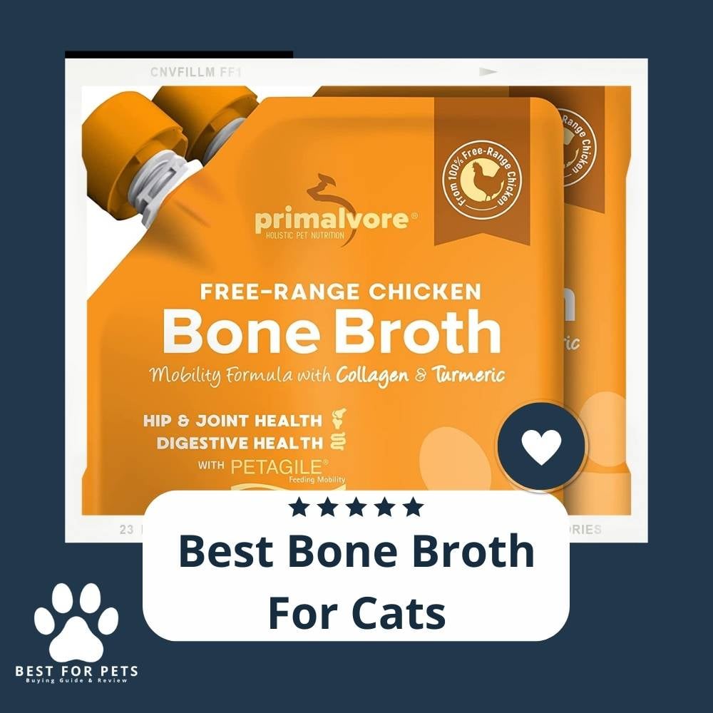 gij7-QpHy-best-bone-broth-for-cats