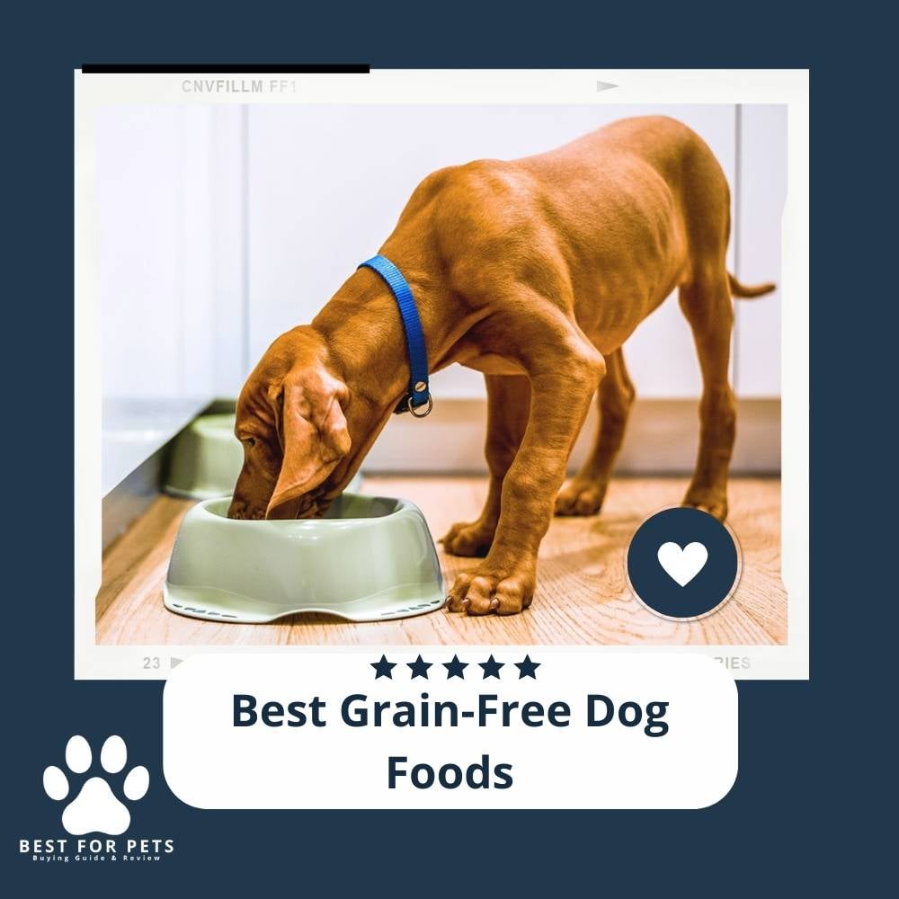 xl_Xw7PJg-best-grain-free-dog-foods