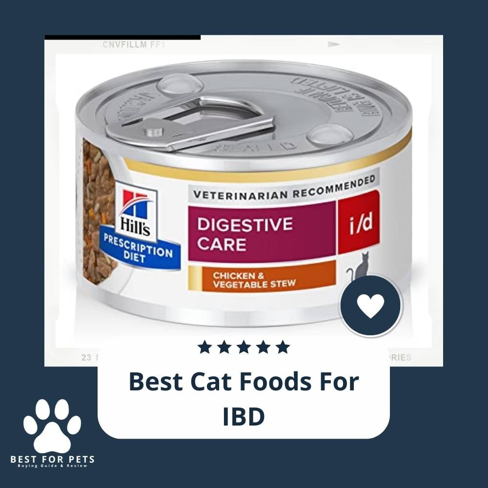 4e6pju0_c-best-cat-foods-for-ibd