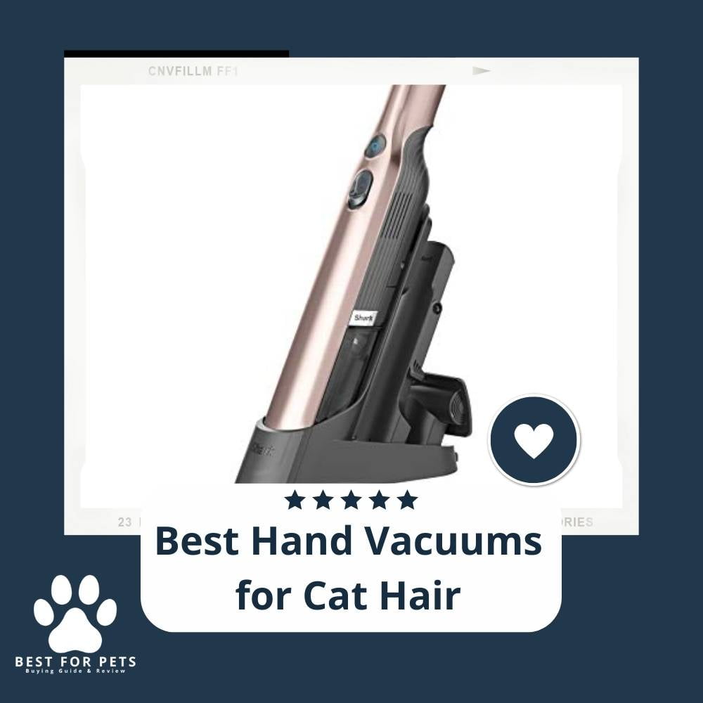 3Ib3YrB40-best-hand-vacuums-for-cat-hair