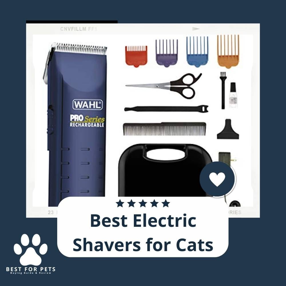 GRoX4dVbj-best-electric-shavers-for-cats