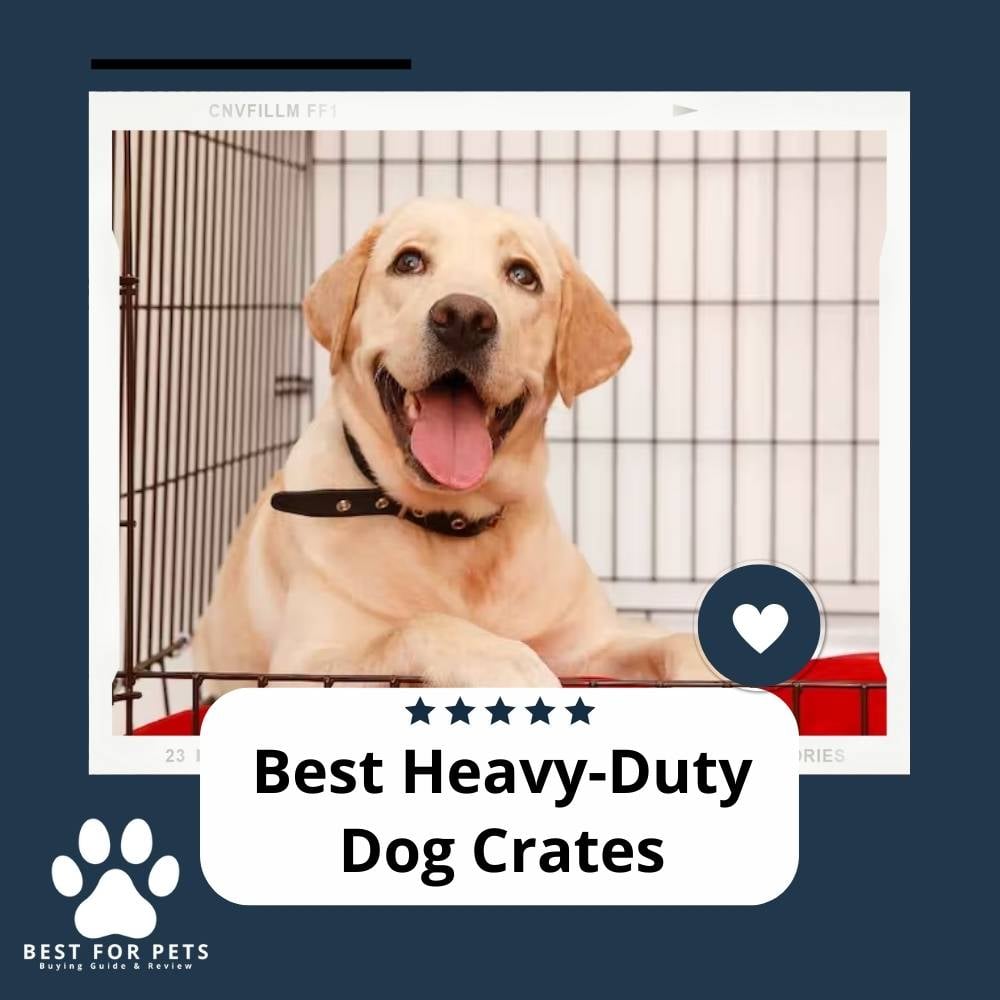 View of The 15 Best Heavy-Duty Dog Crates - BestForPets.org