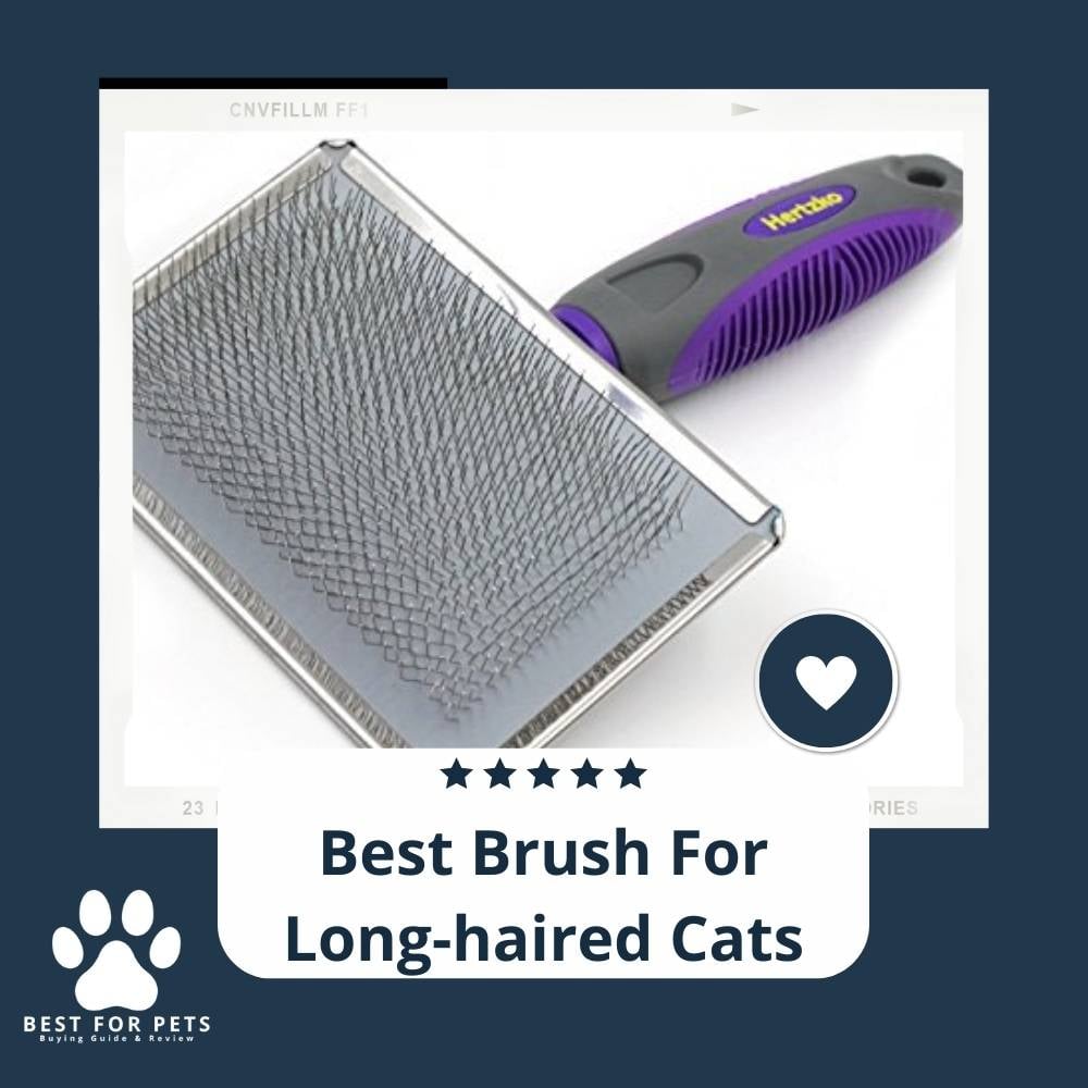 0ma4wyhSa-best-brush-for-long-haired-cats