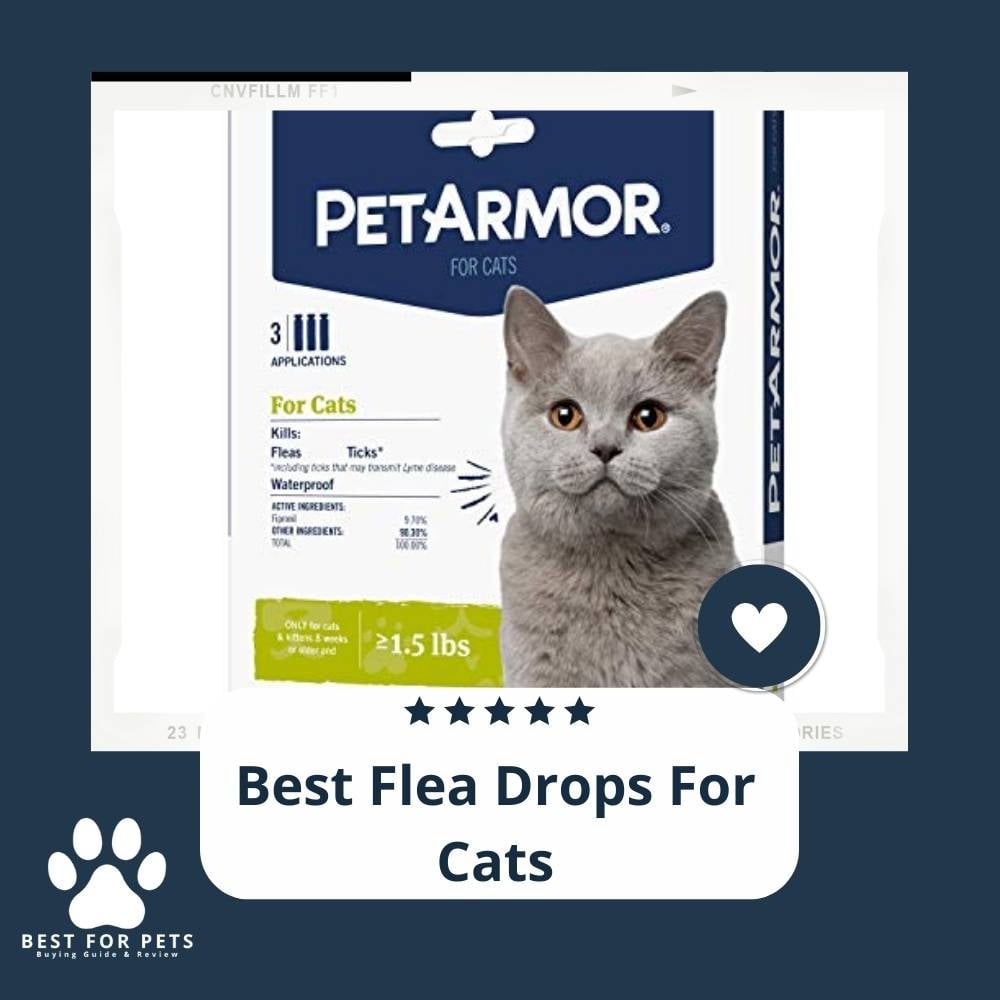 8Ax6VKp0a-best-flea-drops-for-cats