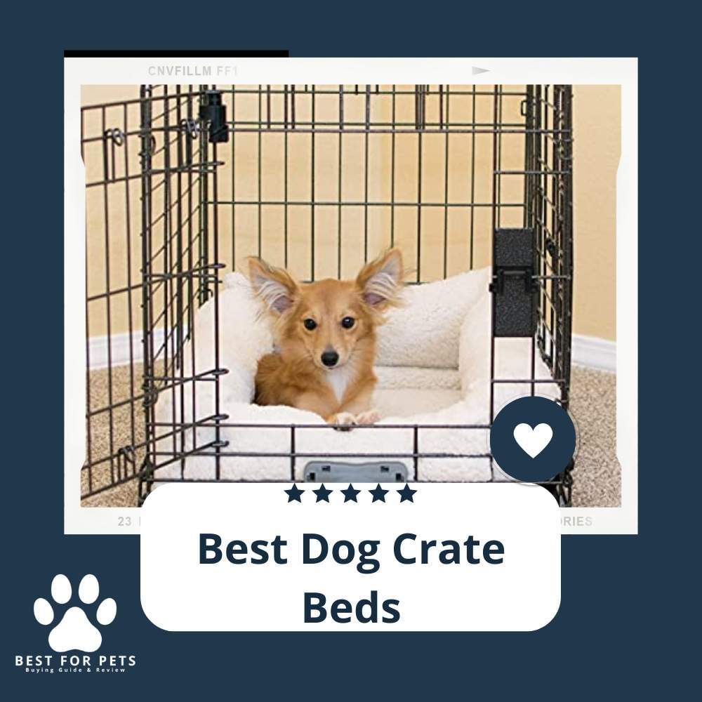 NVN0pQT7n-best-dog-crate-beds