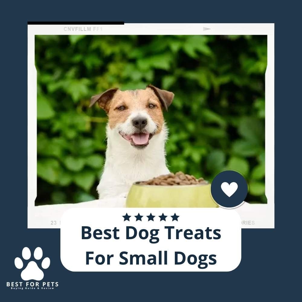 Treats For Small Dogs