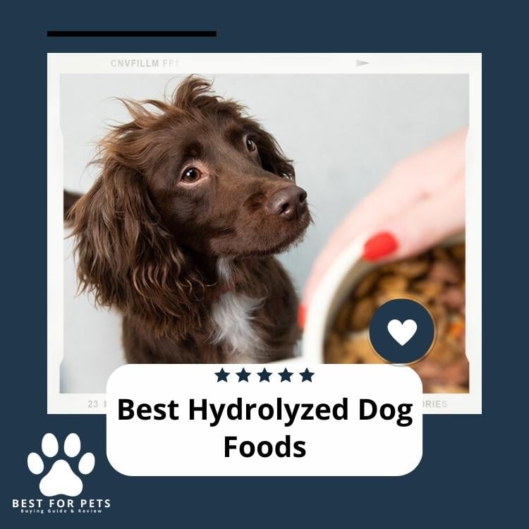 Best Hydrolyzed Dog Foods