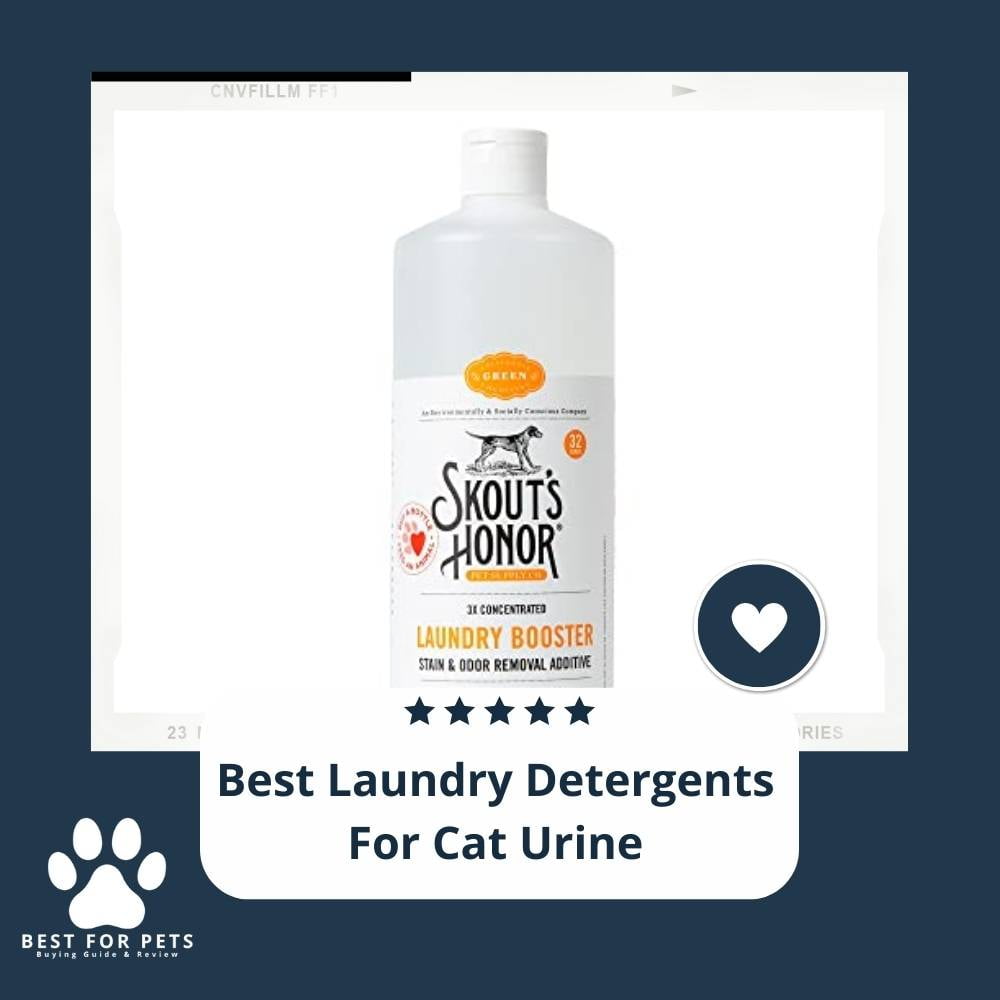 I8vIOR1Nh-best-laundry-detergents-for-cat-urine