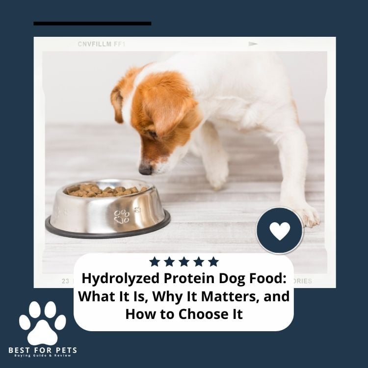 Hydrolyzed Protein Dog Food What It Is Why It Matters and How to Choose It
