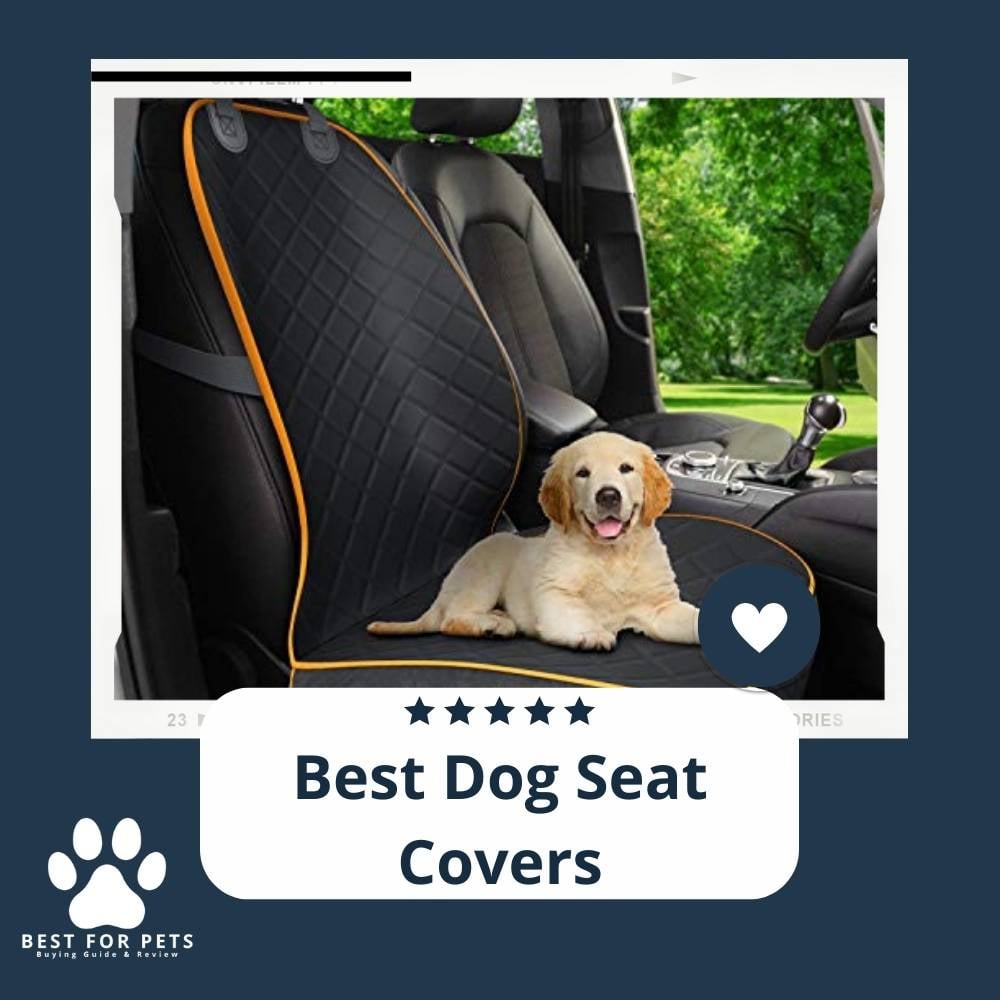 ZidUfG5A3-best-dog-seat-covers