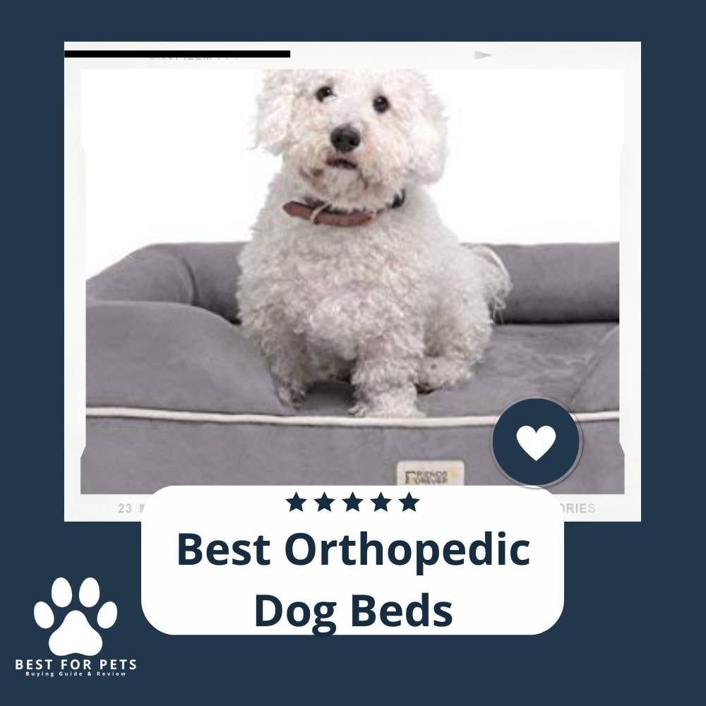 zuZjRisr6-best-orthopedic-dog-beds