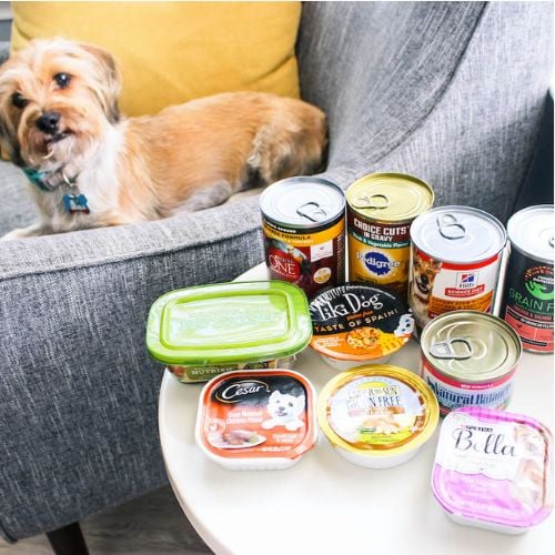 How to Choose the Best Canned Dog Food for Your Dog