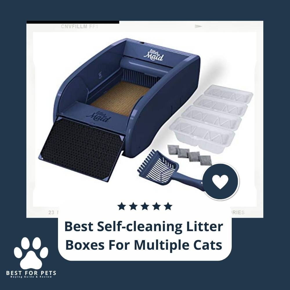 Hxv3uRm9N-best-self-cleaning-litter-boxes-for-multiple-cats